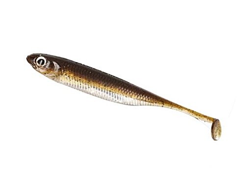 Fish Arrow Flash J Shad 4,5inch Green Pumpkin/Silver
