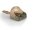 Fox Matrix Pellet Feeder medium 30g