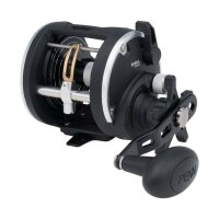 Penn Rival 30 LW LH Reel