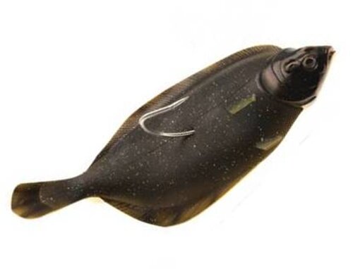 Kinetic Flat Matt 400g 245mm Glowing Plaice