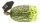 Fish Arrow KO Chatter 7 AF105 Watermelon Chart/Black