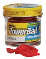 Berkley Power Bait Garlic Honey Worm Orange