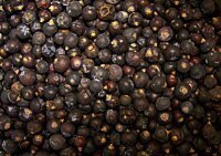Wacholderbeeren 100g
