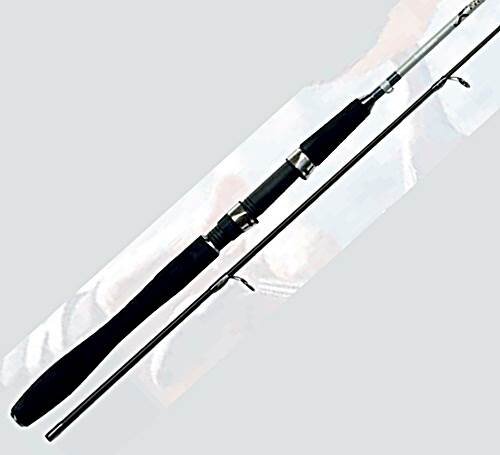 Evia Spinnrute Iridium Facttor 2,40m 8-30g