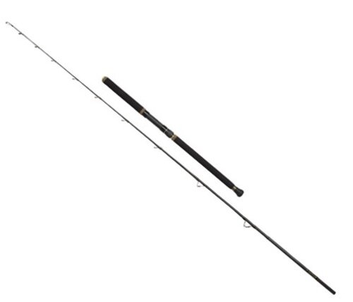 Penn Regiment II Halibut 2,40m 30lbs