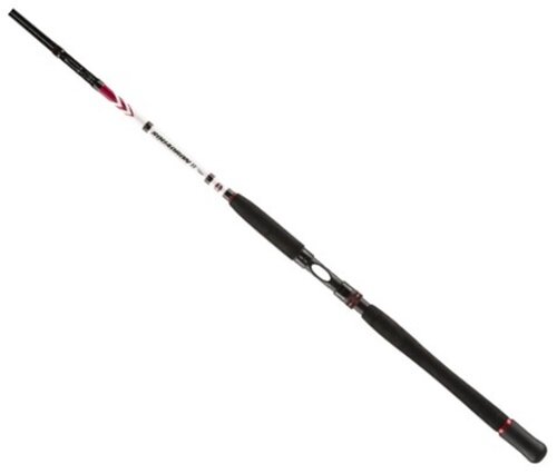 Penn Squadron II Inliner Boat 2,10m 50lbs