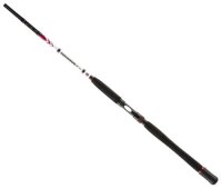 Penn Squadron II Inliner Boat 2,10m 50lbs
