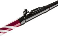 Penn Squadron II Inliner Boat 2,10m 50lbs