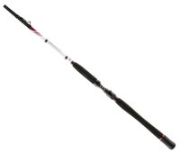 Penn Squadron II Inliner Boat 2,10m 50lbs