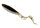 Abu Garcia McPerch Curly 8cm Bait Fish