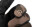 Fox Camo Thermal Gloves medium