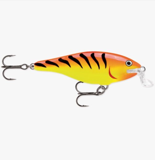 Rapala Shallow Shad Rap SSR09 HT