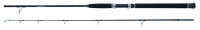 WFT Sea Dart Special Fjord 2pc. 2,10m 12lbs 20-160g