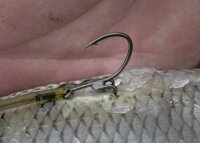 Quantum Mr. Pike Rigging Kit Claw Hook camo