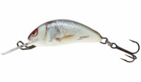 Salmo Hornet 3 floating Real Dace
