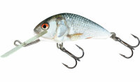 Salmo Hornet 5 floating Real Dace