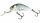 Salmo Hornet 5 floating Real Dace