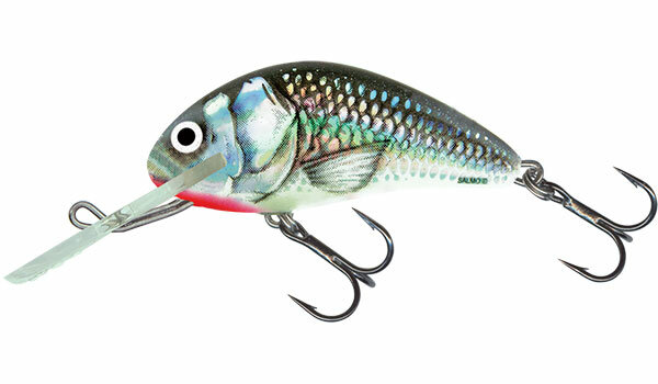 Salmo Hornet 6 floating Holographic Grey Shiner