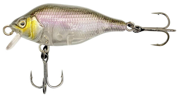 Fox Rage Funk Bug 40mm SR-UV Gold Head