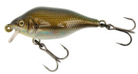 Fox Rage Funk Bug 40mm SR-UV Real Shiner