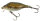 Fox Rage Funk Bug 40mm SR-UV Real Shiner