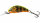 Salmo Hornet 3 floating Gold Fluo Perch