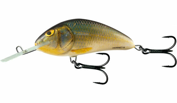 Salmo Hornet 9 floating Real Roach