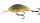 Salmo Hornet 9 floating Real Roach