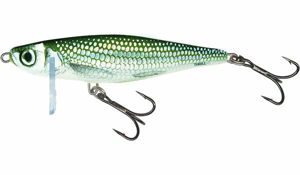 Salmo Thrill 7 sinking Holo Bleak
