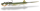 Quantum Pelagic Shad Set PIN 60g 21cm game over