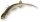 Quantum Pelagic Shad Set PIN 60g 21cm arkansa shiner