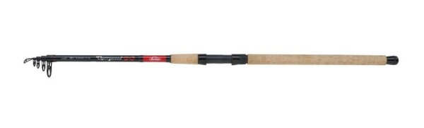 Berkley Cherrywood Spezi Allround T305 35-75g