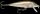 Rapala Countdown CD05 SML