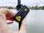 Black Cat Battle Sounder Set 2+1 schwarz