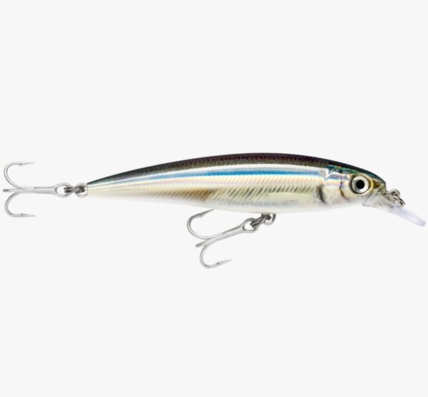 Rapala X-Rap Saltwater SXR10 ANC