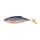 Berkley Pulse Realistic Roach 7cm Roach