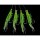 Dega Makr.Shrimp-Vorf. 4Arme green