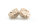Mivardi Rapid Boilies Easy Catch Scopex Cream 16mm 3,3kg
