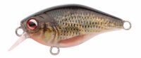 Spro Ikiru Mini Crank Roach 3,8cm F SL SIN