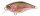 Spro Ikiru Mini Crank Rainbow Trout 3,8cm F SL SIN