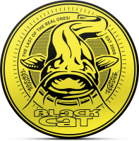Black Cat Aufkleber Wels rund 9,5cm 9,5cm