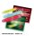DAM CHEMICAL LIGHT 4.5x39MM 2PCS RED 50er Pack