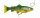 Savage Gear 4D LINE THRU TROUT 15CM 35G SLOW SINK FIRE TROUT