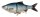 Savage Gear 4D LINE THRU ROACH 18CM 86G SINKING ROACH