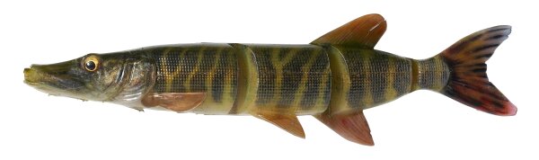 Savage Gear 4D LINE THRU PIKE 25CM 105G SLOW SINK STRIPED PIKE