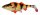 Savage Gear 4D PERCH SHAD 12.5CM 23G SLOW SINK ALBINO