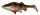 Savage Gear 4D PERCH SHAD 17.5CM 67G SLOW SINK PERCH