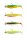 Savage Gear CANNIBAL SHAD 6.8CM 3G+5G #1/0 DARKWATER MIX 4+4PCS