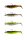 Savage Gear CANNIBAL SHAD 12.5CM 20G+12.5G #5/0 CLEARWATER MIX 4+4PCS