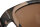 Fox Avius Camo Black Brown Lense